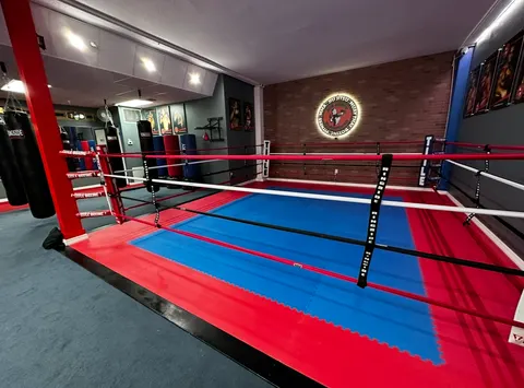 Amir Academy boxing ring and training floor