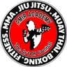 Amir Academy logo
